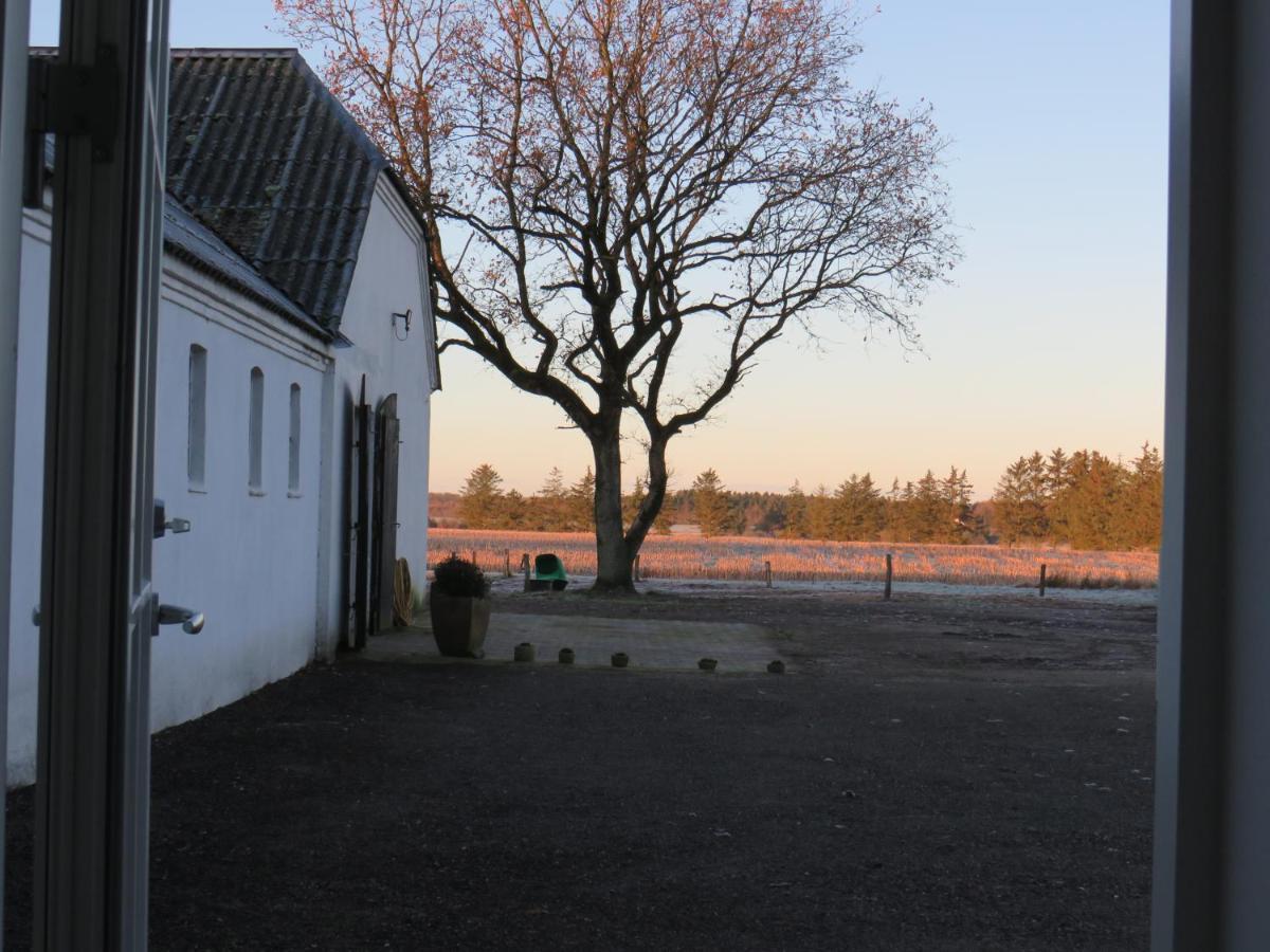 Hotel Bogelund Sleep-In Kårup Exteriér fotografie